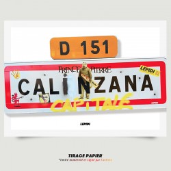 - C A L I N Z A N A  -